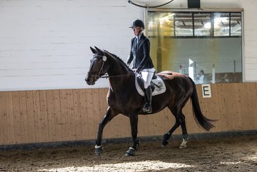 Bild 74 - Pony Akademie Turnier
